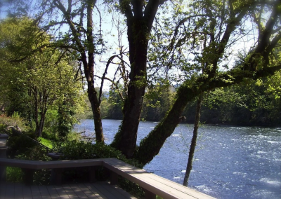 McKenzie River vacation home rental river view